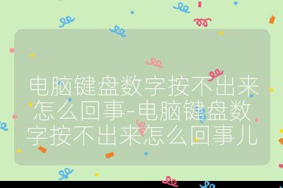 电脑键盘数字按不出来怎么回事-电脑键盘数字按不出来怎么回事儿