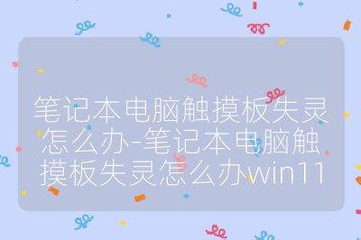笔记本电脑触摸板失灵怎么办-笔记本电脑触摸板失灵怎么办win11