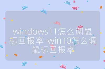 windows11怎么调鼠标回报率-win10怎么调鼠标回报率