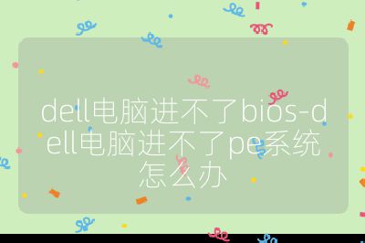dell电脑进不了bios-dell电脑进不了pe系统怎么办