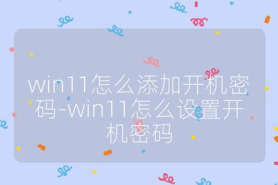 win11怎么添加开机密码-win11怎么设置开机密码