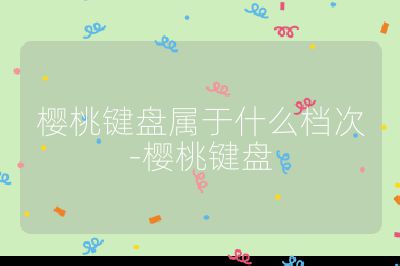 樱桃键盘属于什么档次-樱桃键盘