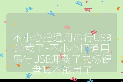 不小心把通用串行USB卸载了-不小心把通用串行USB卸载了鼠标键盘嗯不能用了