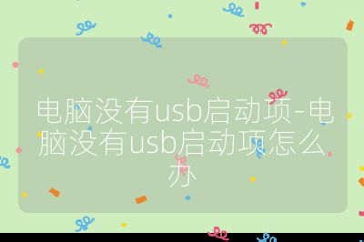 电脑没有usb启动项-电脑没有usb启动项怎么办