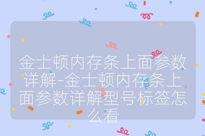 金士顿内存条上面参数详解-金士顿内存条上面参数详解型号标签怎么看