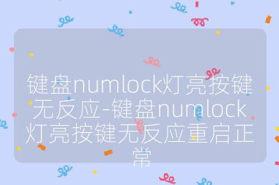 键盘numlock灯亮按键无反应-键盘numlock灯亮按键无反应重启正常