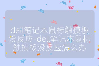 dell笔记本鼠标触摸板没反应-dell笔记本鼠标触摸板没反应怎么办