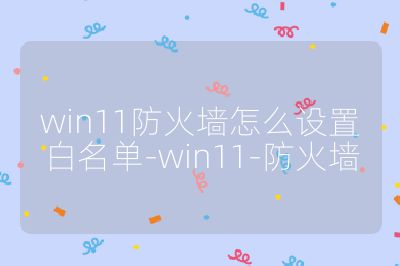 win11防火墙怎么设置白名单-win11-防火墙