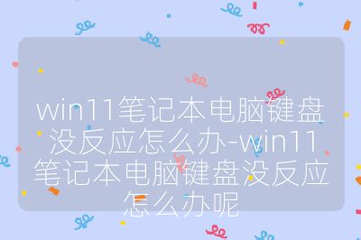 win11笔记本电脑键盘没反应怎么办-win11笔记本电脑键盘没反应怎么办呢