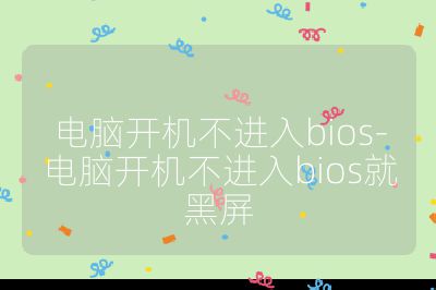 电脑开机不进入bios-电脑开机不进入bios就黑屏