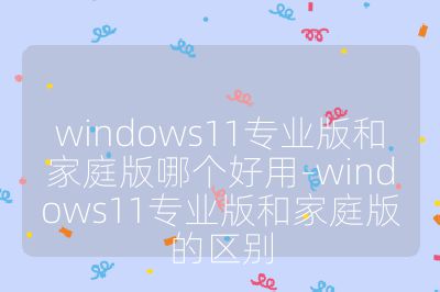 windows11专业版和家庭版哪个好用-windows11专业版和家庭版的区别