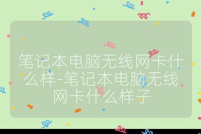 笔记本电脑无线网卡什么样-笔记本电脑无线网卡什么样子