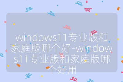 windows11专业版和家庭版哪个好-windows11专业版和家庭版哪个好用