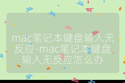 mac笔记本键盘输入无反应-mac笔记本键盘输入无反应怎么办