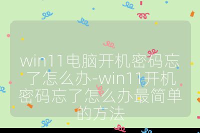 win11电脑开机密码忘了怎么办-win11开机密码忘了怎么办最简单的方法