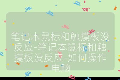 笔记本鼠标和触摸板没反应-笔记本鼠标和触摸板没反应-如何操作电脑