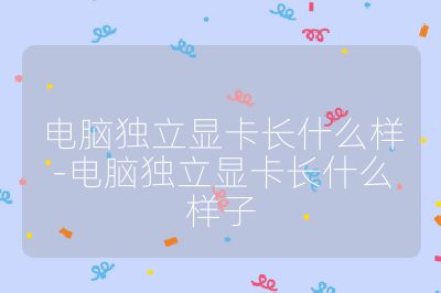 电脑独立显卡长什么样-电脑独立显卡长什么样子