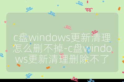 c盘windows更新清理怎么删不掉-c盘windows更新清理删除不了