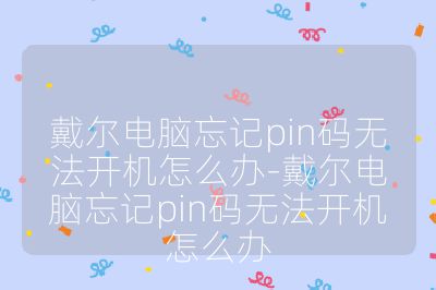 戴尔电脑忘记pin码无法开机怎么办-戴尔电脑忘记pin码无法开机怎么办