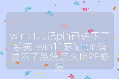win11忘记pin码进不了系统-win11忘记pin码进不了系统怎么用PE修复