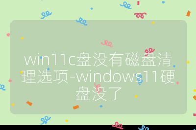 win11c盘没有磁盘清理选项-windows11硬盘没了