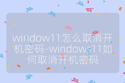 window11怎么取消开机密码-windows11如何取消开机密码