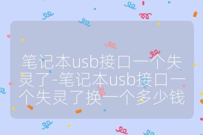 笔记本usb接口一个失灵了-笔记本usb接口一个失灵了换一个多少钱