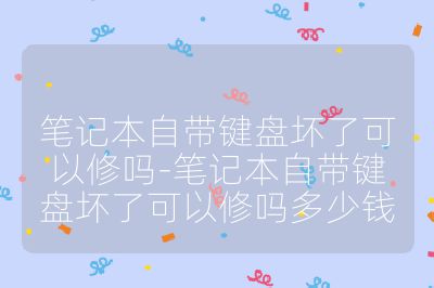 笔记本自带键盘坏了可以修吗-笔记本自带键盘坏了可以修吗多少钱