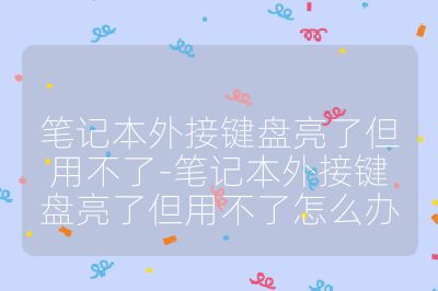 笔记本外接键盘亮了但用不了-笔记本外接键盘亮了但用不了怎么办
