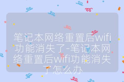 笔记本网络重置后wifi功能消失了-笔记本网络重置后wifi功能消失了怎么办