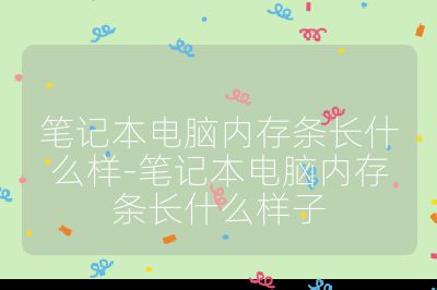 笔记本电脑内存条长什么样-笔记本电脑内存条长什么样子