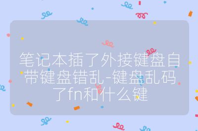 笔记本插了外接键盘自带键盘错乱-键盘乱码了fn和什么键