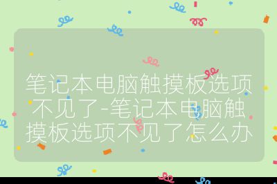 笔记本电脑触摸板选项不见了-笔记本电脑触摸板选项不见了怎么办