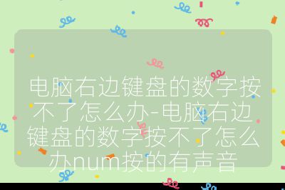 电脑右边键盘的数字按不了怎么办-电脑右边键盘的数字按不了怎么办num按的有声音