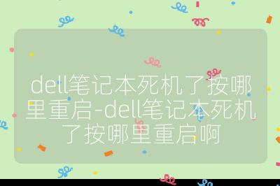 dell笔记本死机了按哪里重启-dell笔记本死机了按哪里重启啊