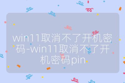 win11取消不了开机密码-win11取消不了开机密码pin